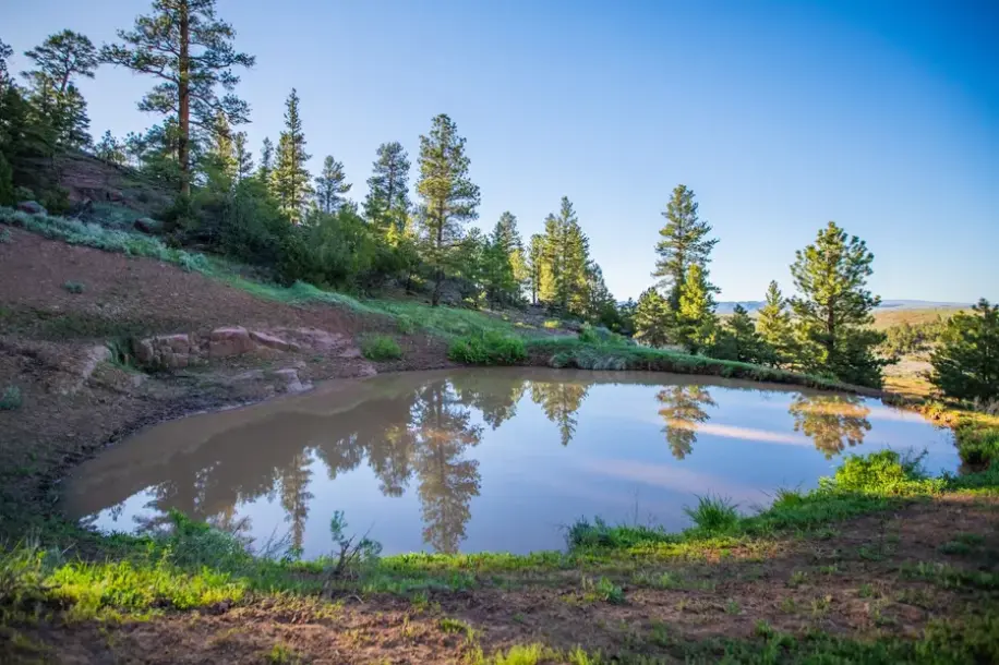 Logging Springs Ranch-1