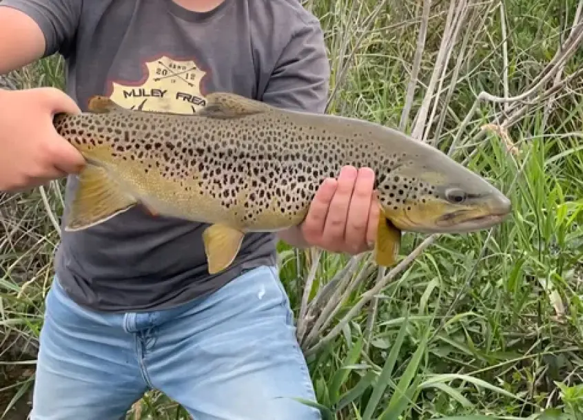 Henry’s Fork Snake River Ranch-4