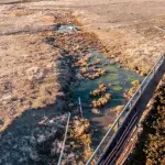 Diamond Investment Ranch