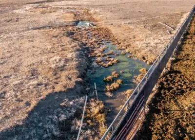 Diamond Investment Ranch
