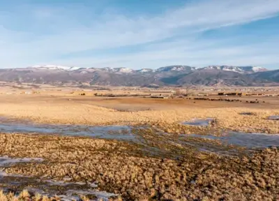 Diamond Investment Ranch
