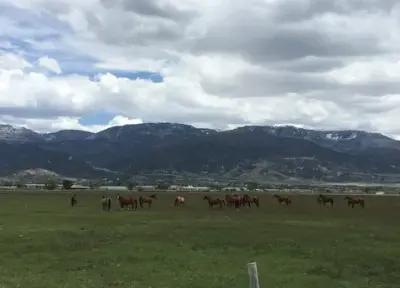 Diamond Investment Ranch