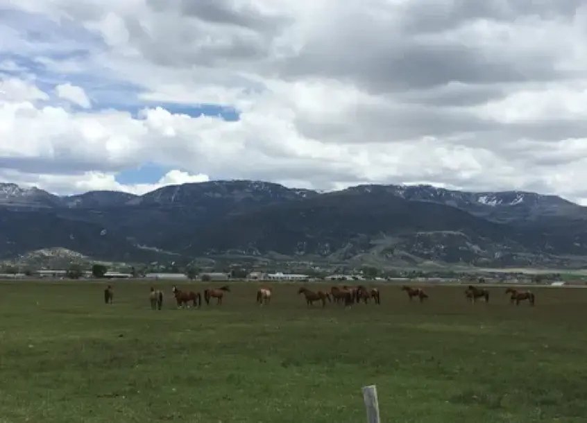 Diamond Investment Ranch-5
